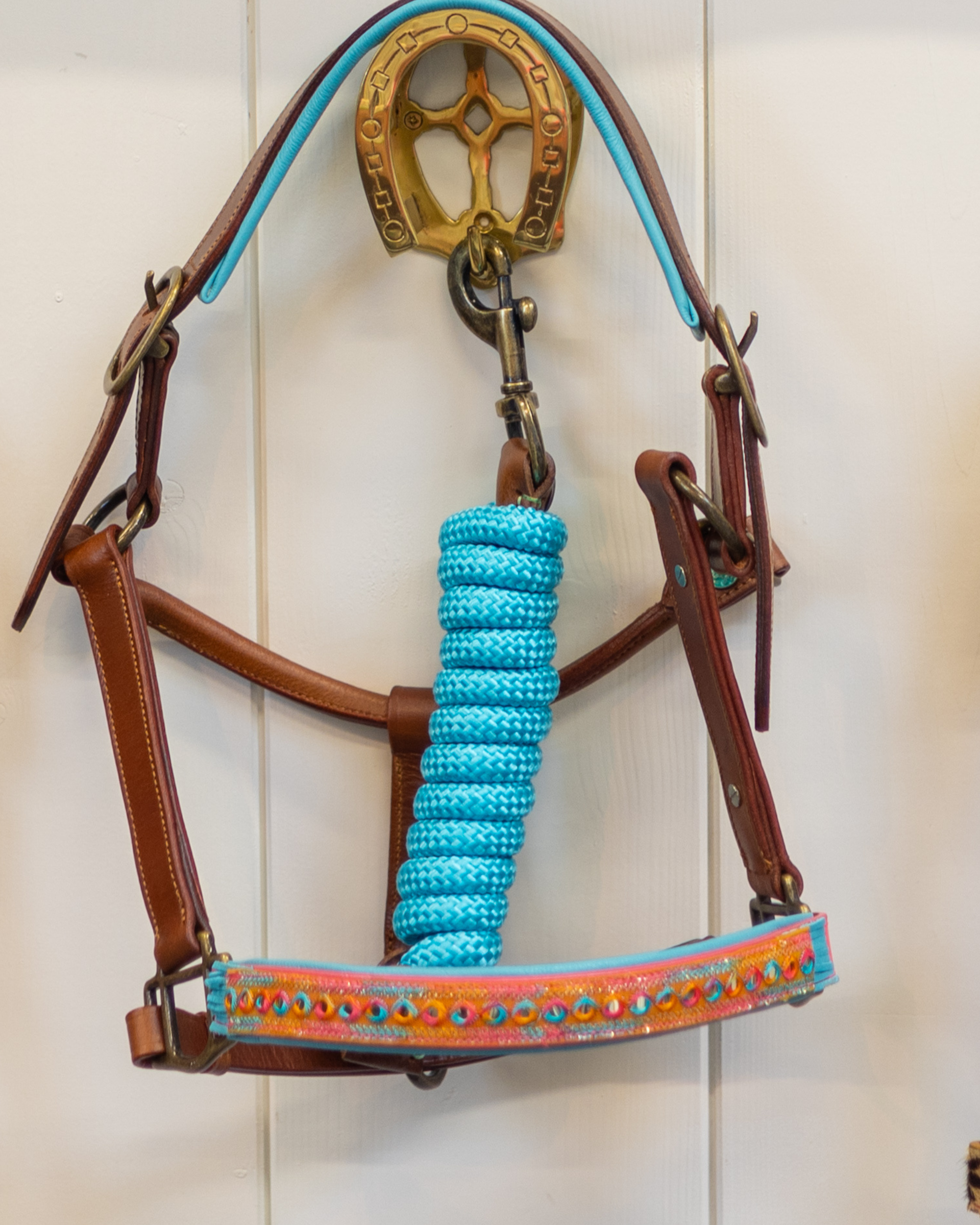 Horse Halters & Leads