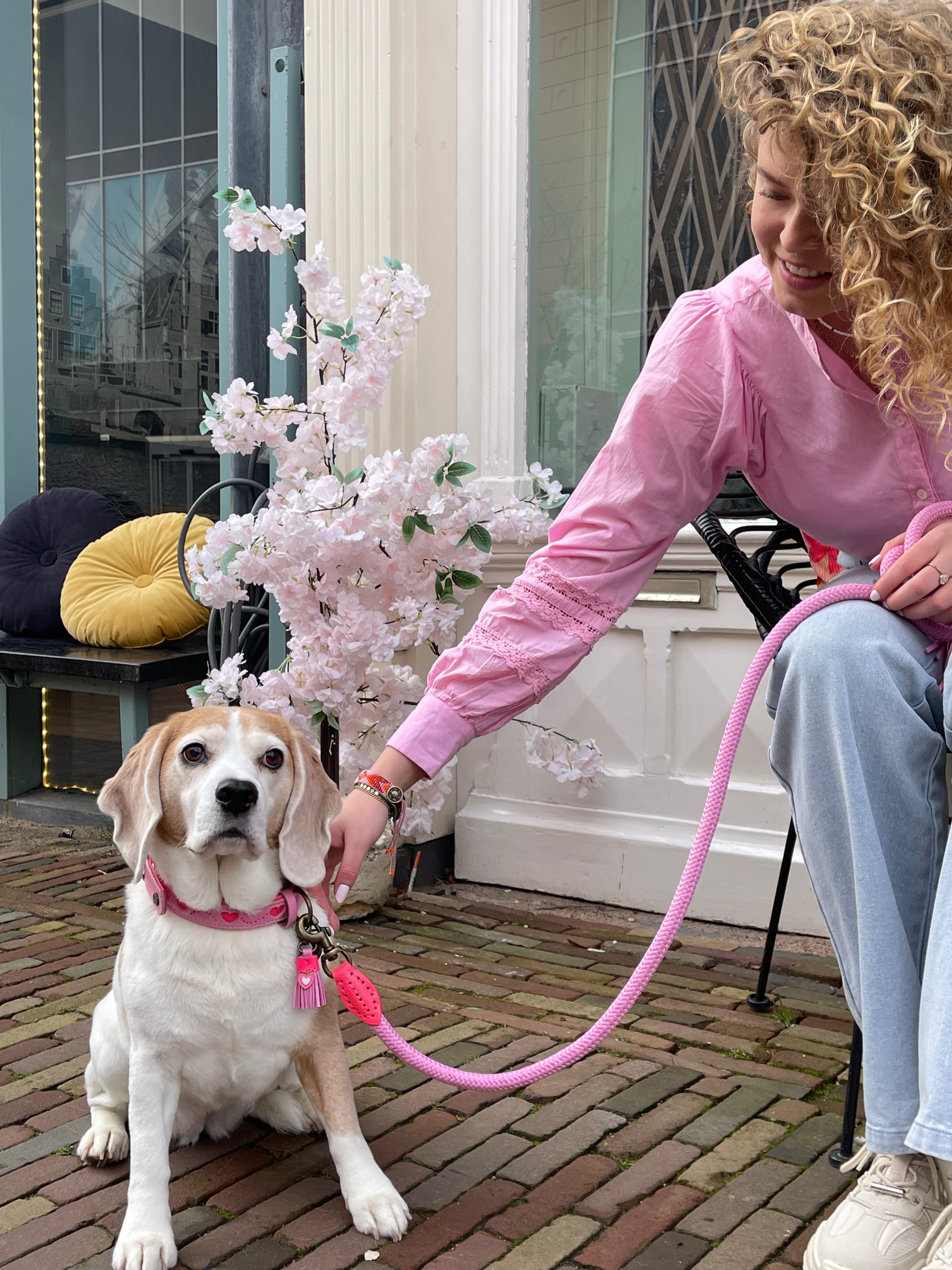 Dog Leashes