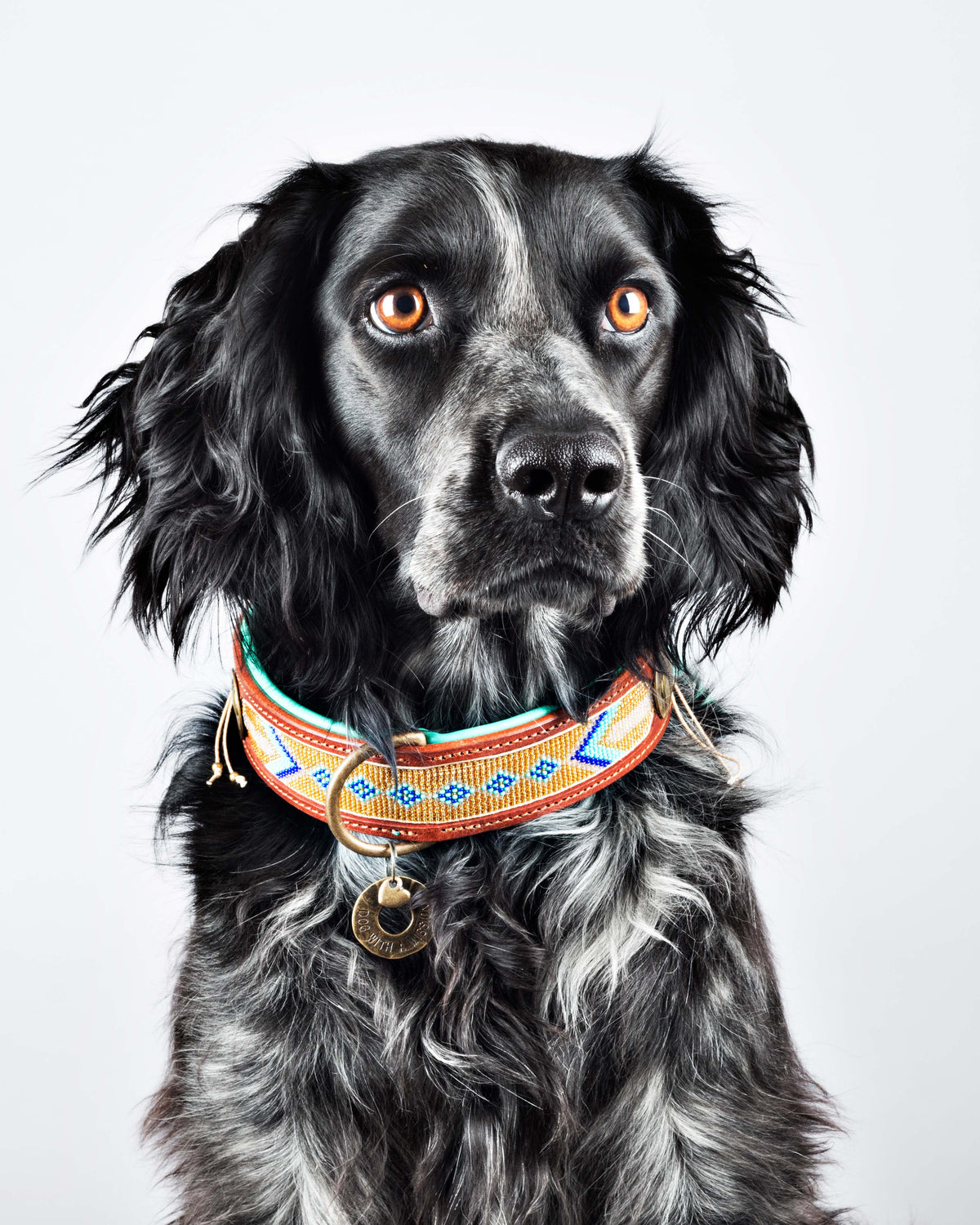 Dog Collars
