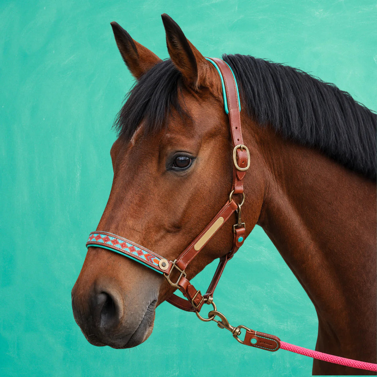 Paddy Lee Horse Halter