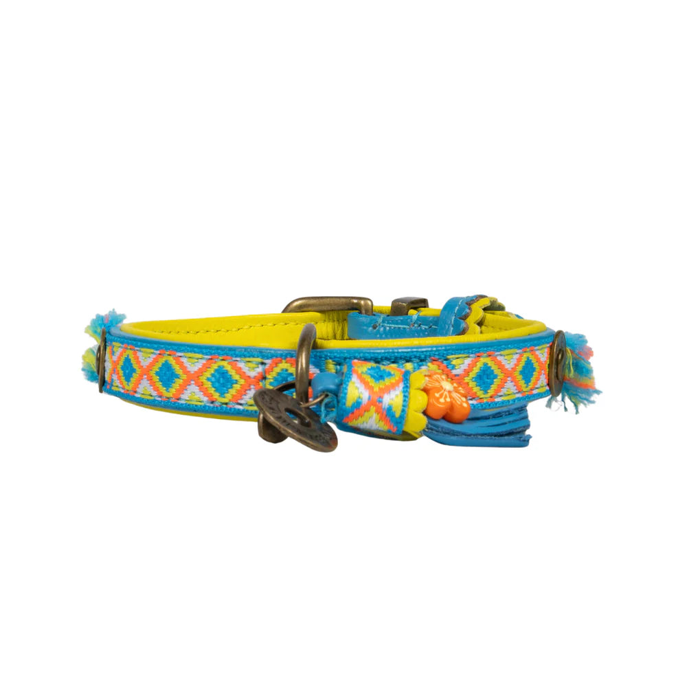 Aloha Collar