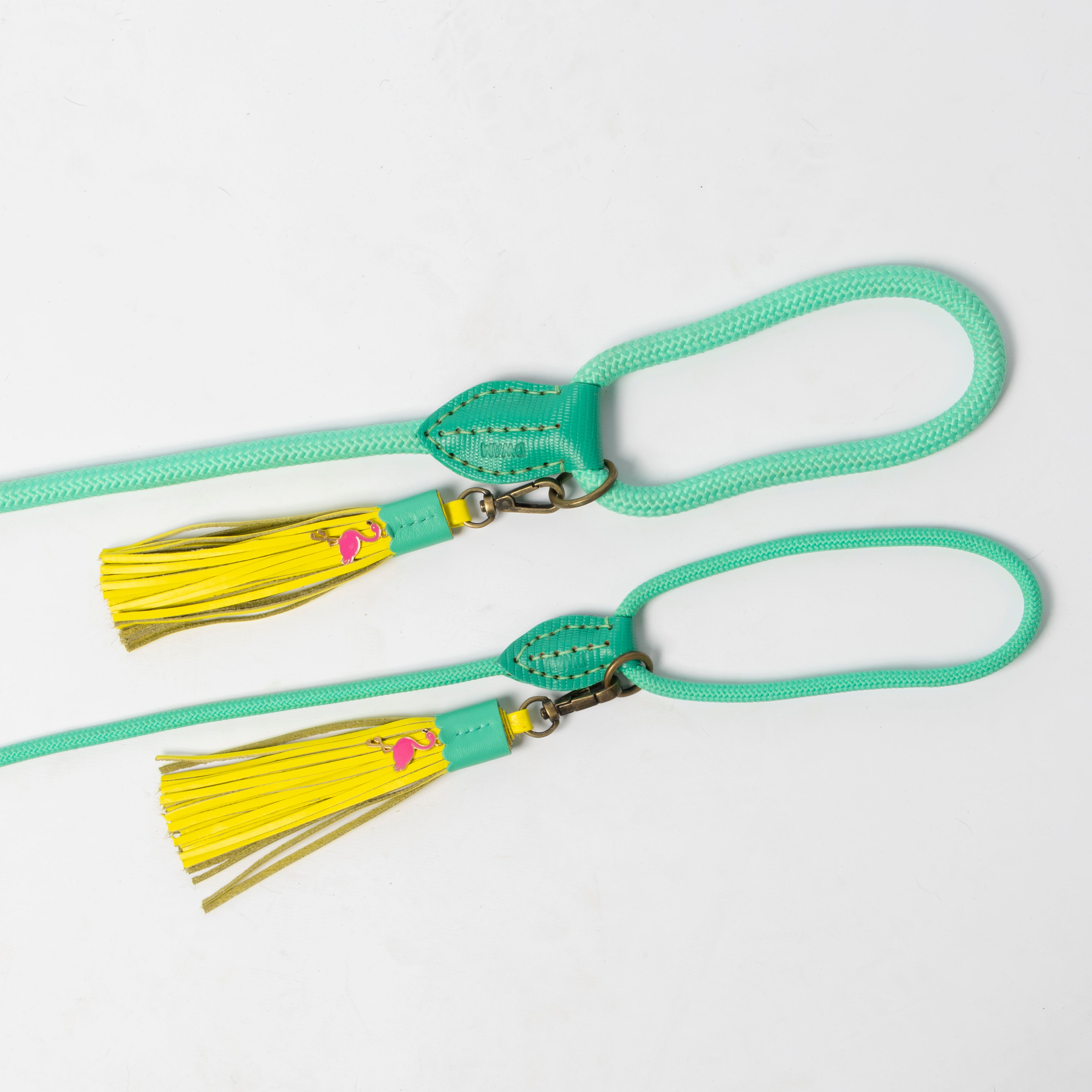 Mint green dog leash with yellow tassels on a light gray background
