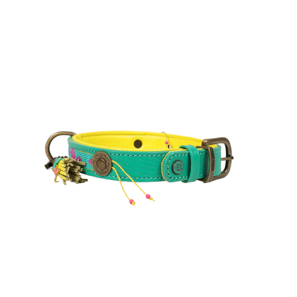Colorful dog collar with decorative elements on a white background