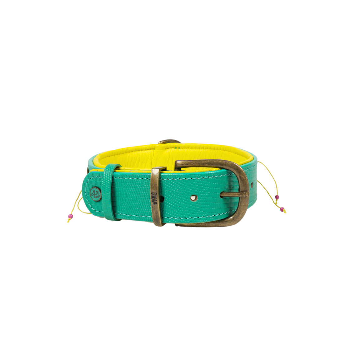 Green and yellow dog collar with a brass buckle on a white background