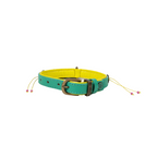Teal and yellow dog collar with a brown buckle on a white background