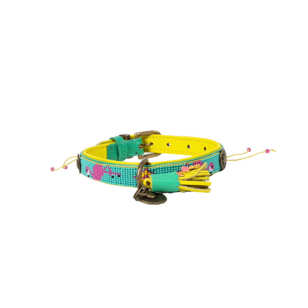 Colorful dog collar with floral patterns on a white background