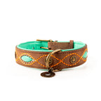 Dog collar with turquoise interior and brown exterior featuring decorative stitching on a white background