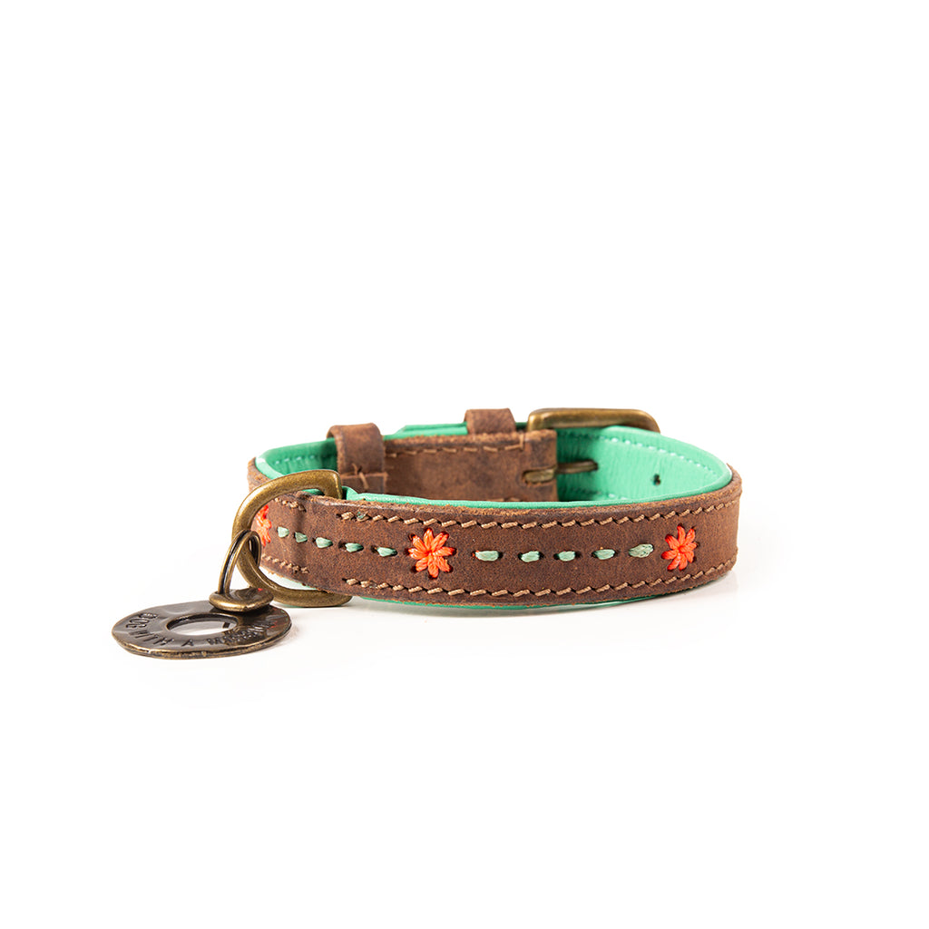 Dog collar with floral designs on a white background