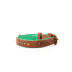 Brown leather dog collar with green interior on a white background