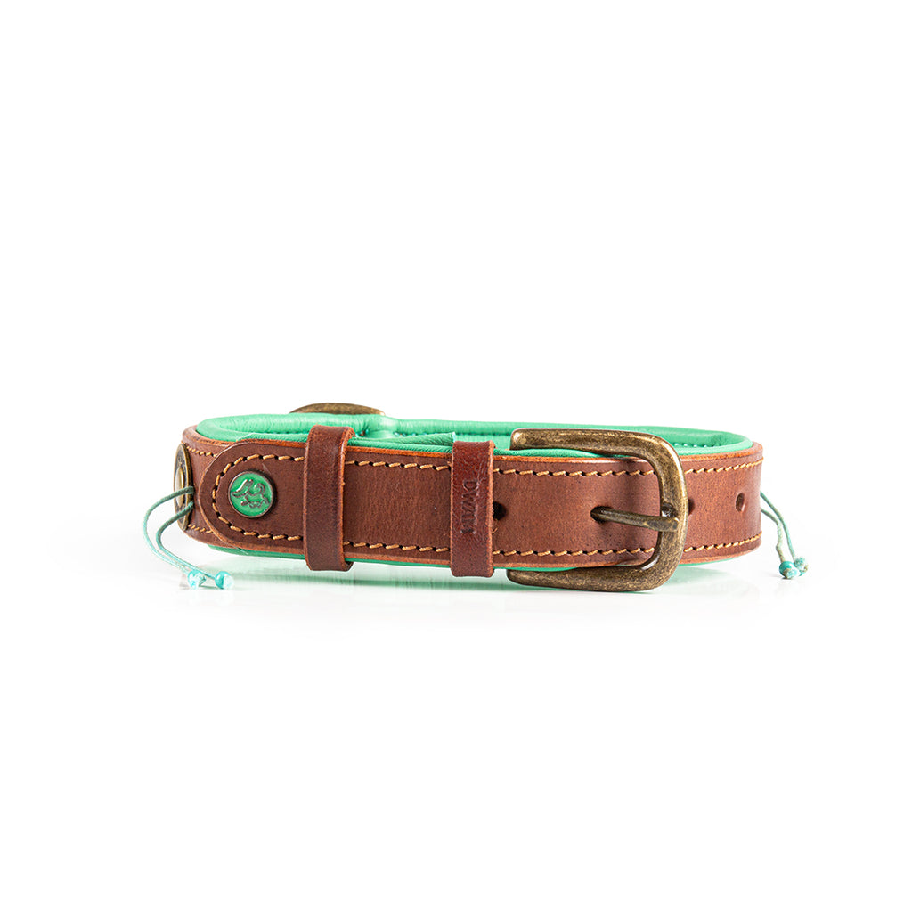 Dog collar with brown leather strap and green cushion on a white background