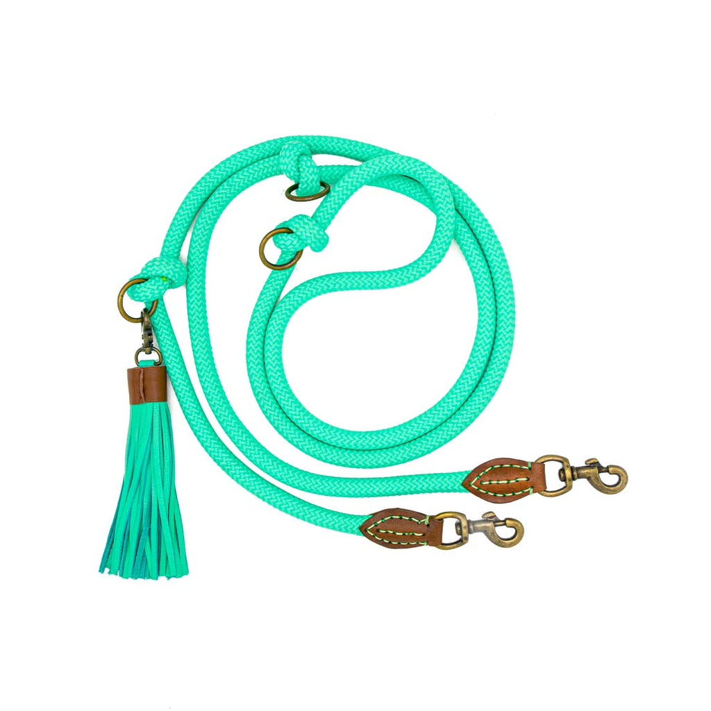 Turquoise dog leash with brown leather ends and tassel on a white background
