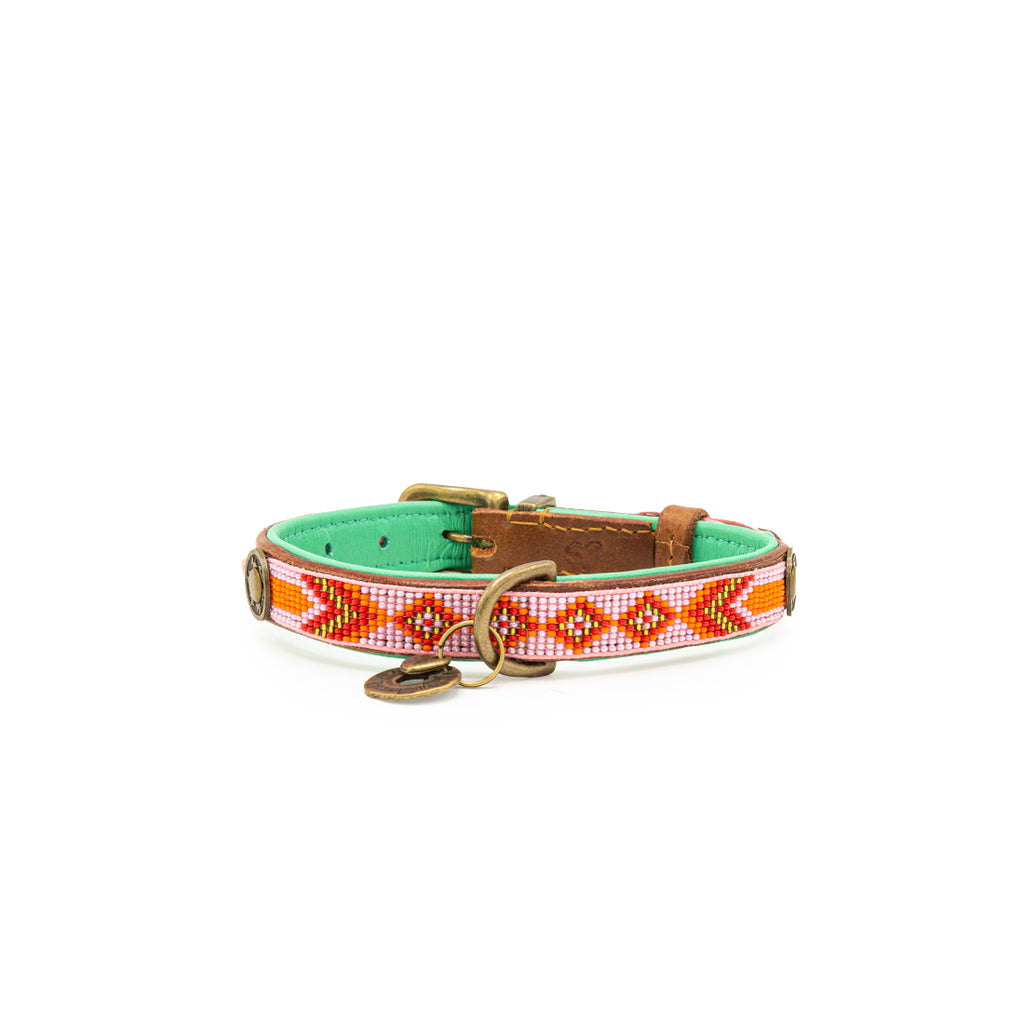 Dog collar with colorful pattern on a white background