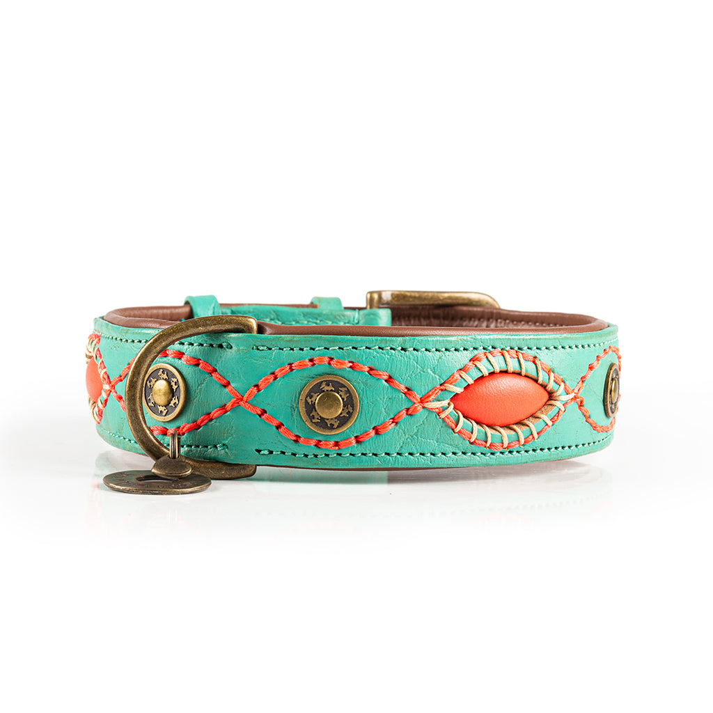 Turquoise dog collar with coral accents and gold hardware on a white background