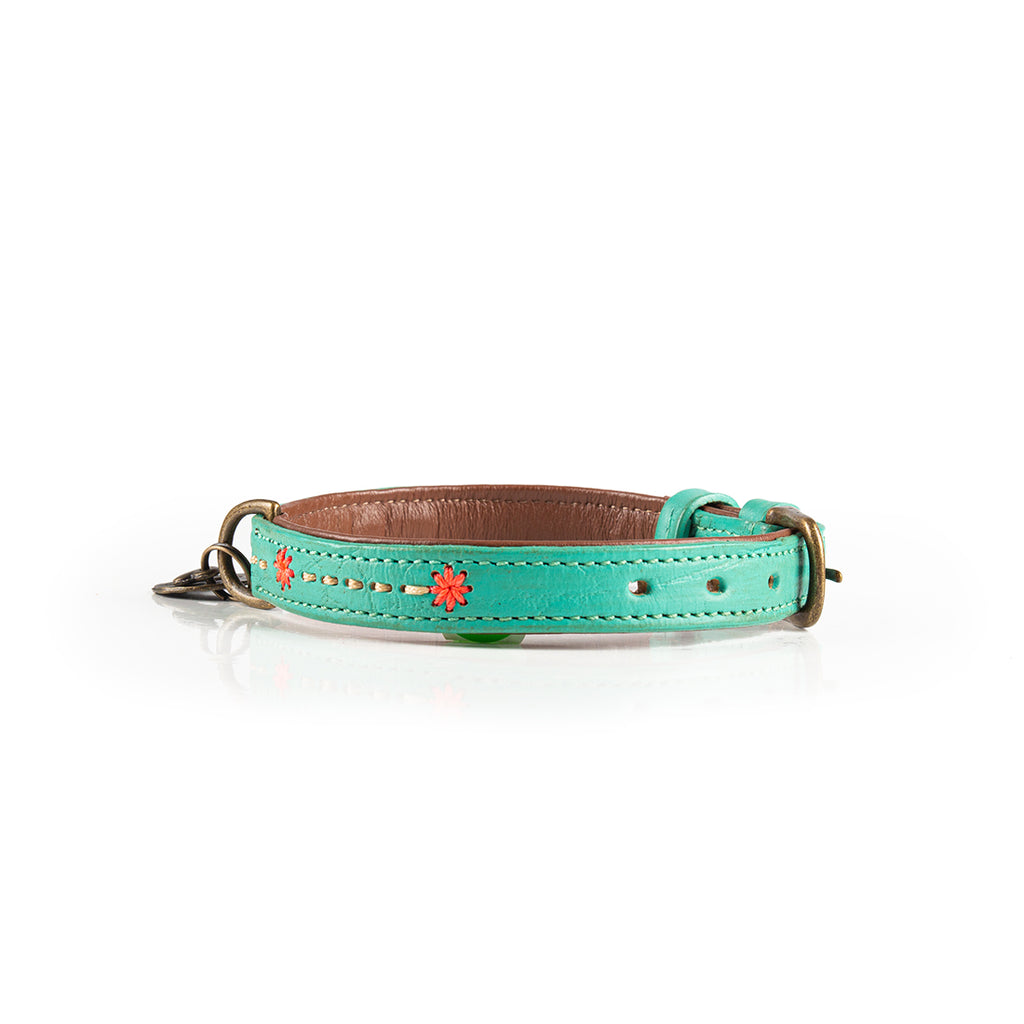 Turquoise dog collar with floral designs on a white background