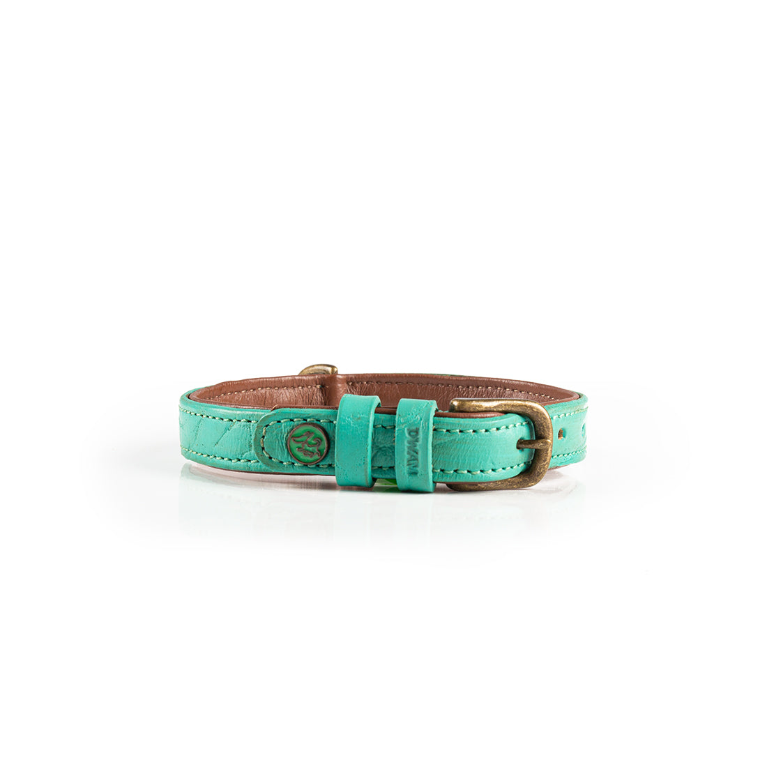 Turquoise dog collar with a gold buckle on a white background