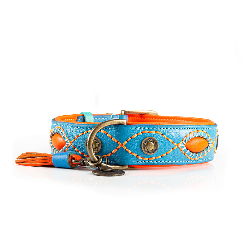 Blue and orange dog collar with decorative elements on a white background
