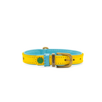 Urban Blue Star Collar- Yellow and blue dog collar with a gold buckle on a white background