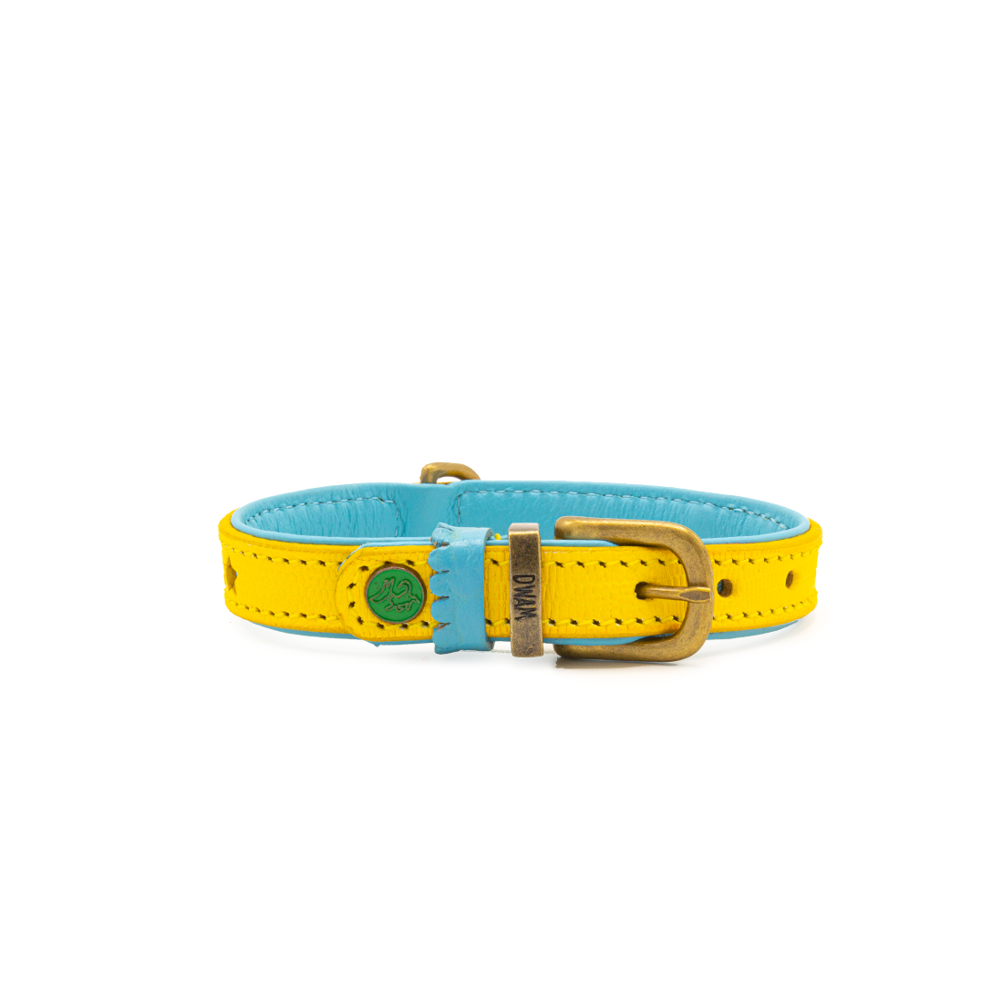 Urban Blue Star Collar- Yellow and blue dog collar with a gold buckle on a white background