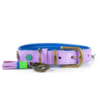 Purple dog collar with gold buckle and tassels on a white background