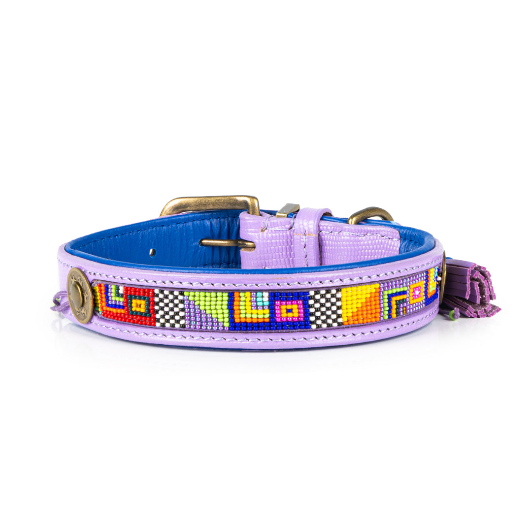 Dog collar with colorful beaded design on a white background