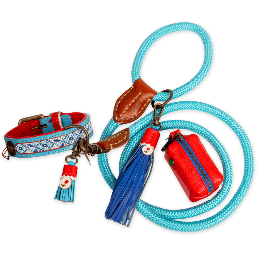 Dog collar and leash set with decorative elements on a white background