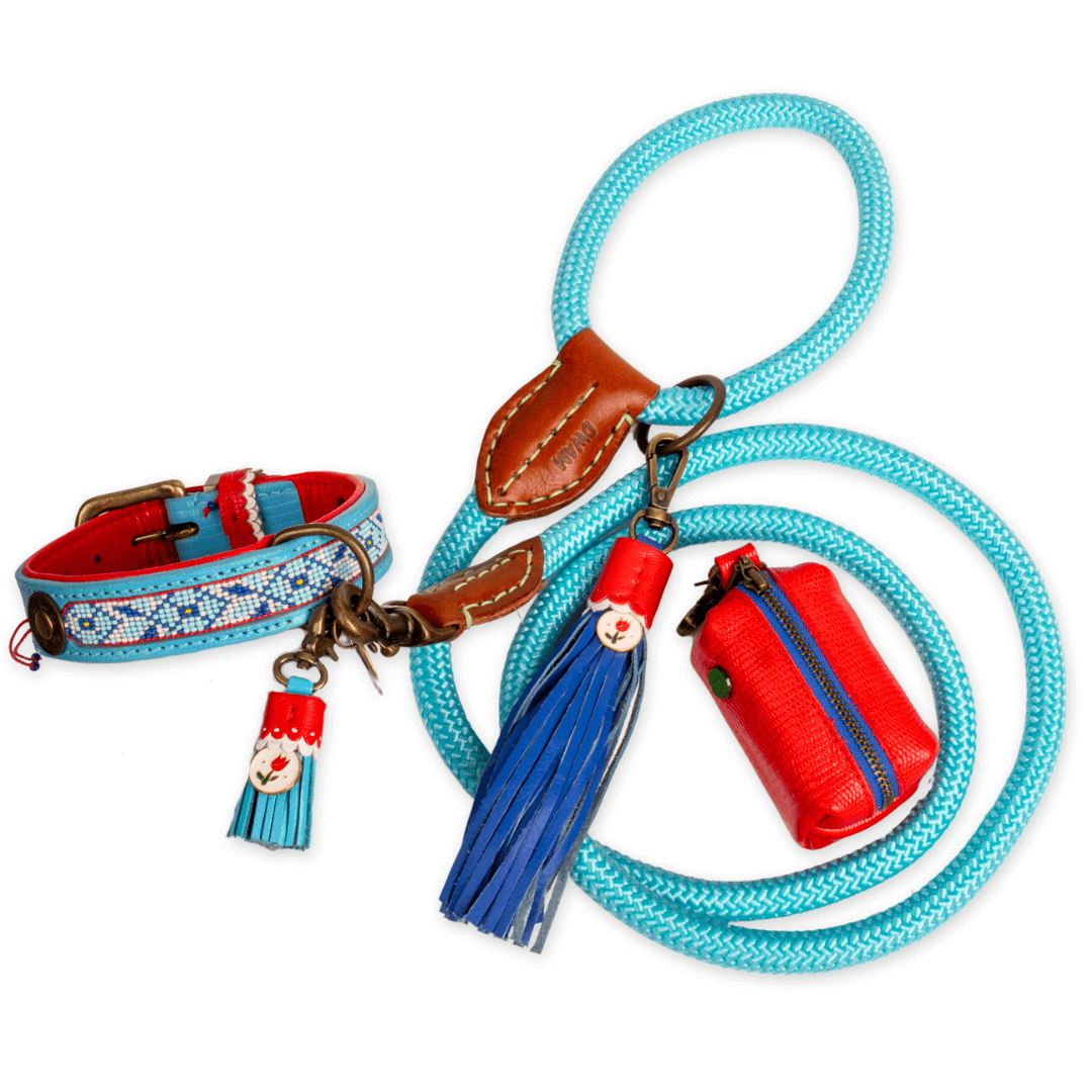 Dog collar and leash set with decorative elements on a white background
