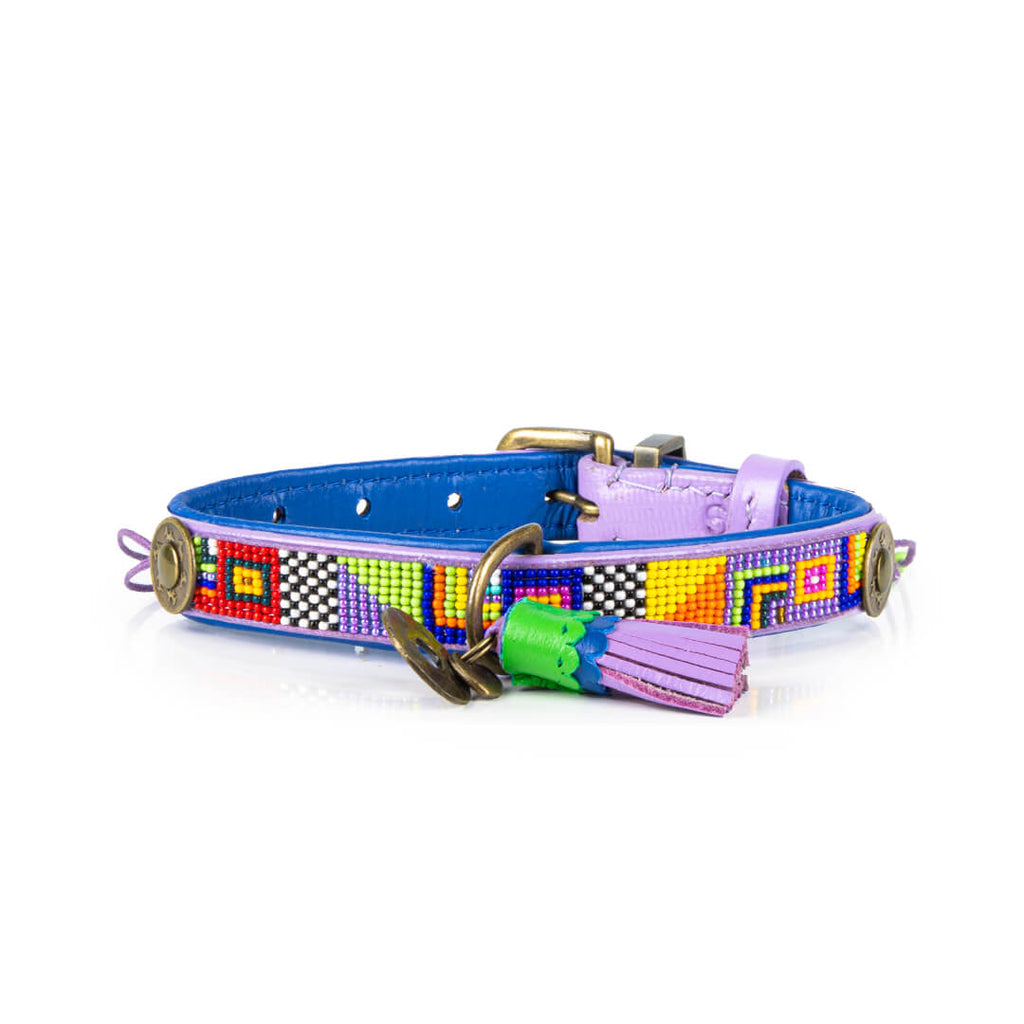 Colorful beaded dog collar on a white background