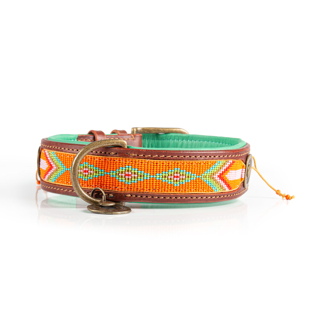 Dog collar with orange and green pattern on a white background