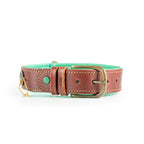 Brown leather dog collar with brass buckle on a white background