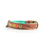 Dog collar with colorful pattern and turquoise band on a white background