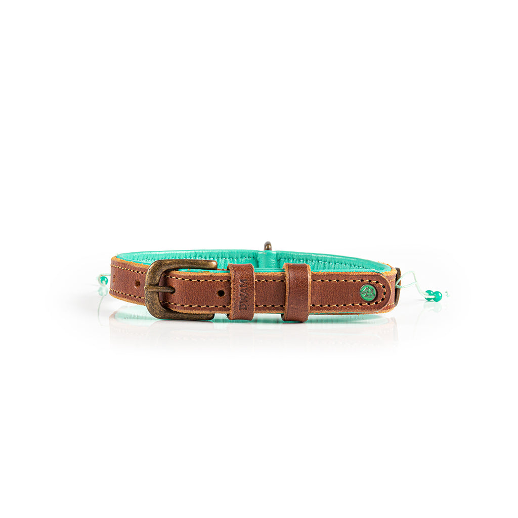 Dog collar with turquoise strap and brown leather accents on a white background