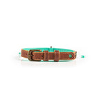 Dog collar with turquoise strap and brown leather accents on a white background