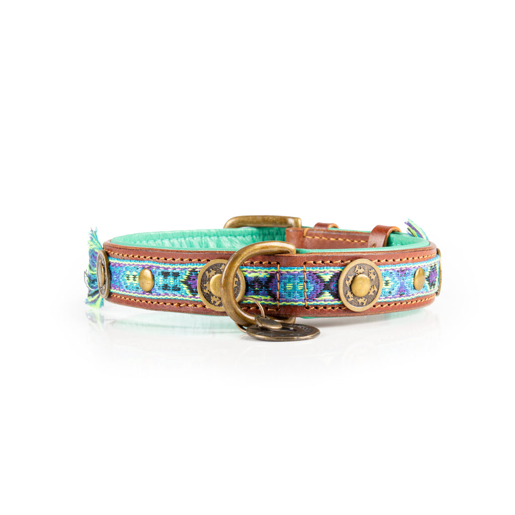 Dog collar with decorative pattern on a white background