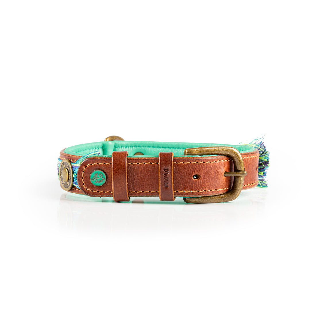 Dog collar with turquoise strap and brown leather buckle on a white background