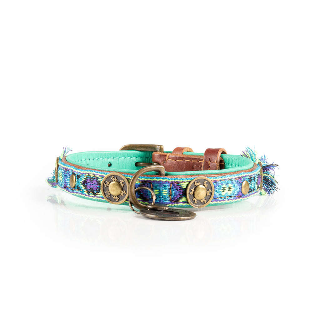 Dog collar with decorative patterns and metallic elements on a white background