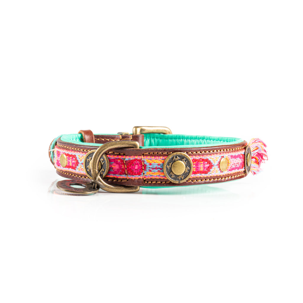 Dog collar with colorful pattern and gold accents on a white background