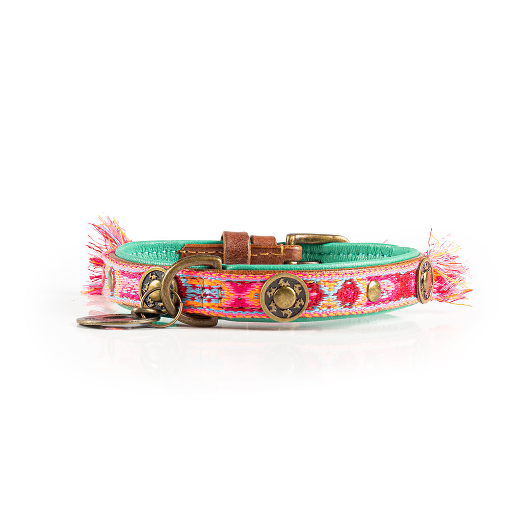 Colorful dog collar with decorative elements on a white background