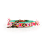 Colorful dog collar with decorative elements on a white background