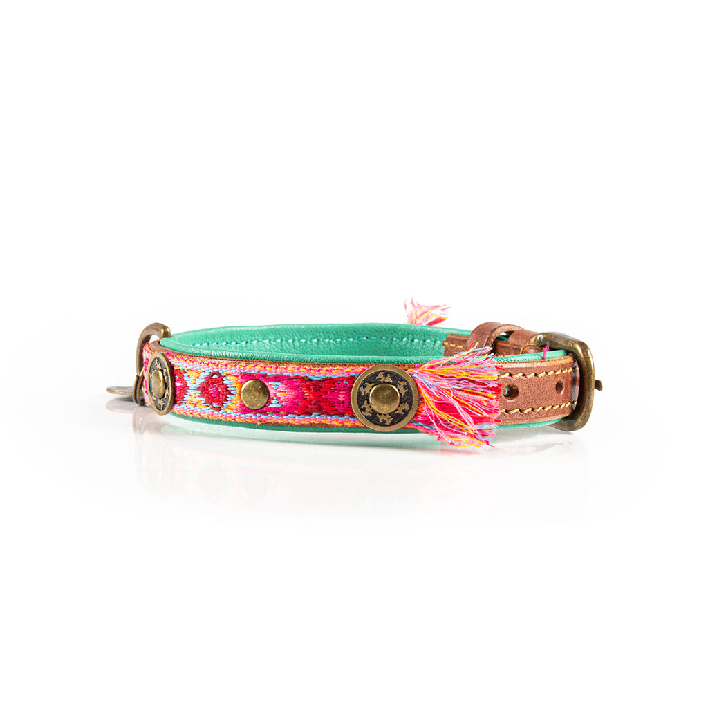 Colorful dog collar with decorative elements on a white background