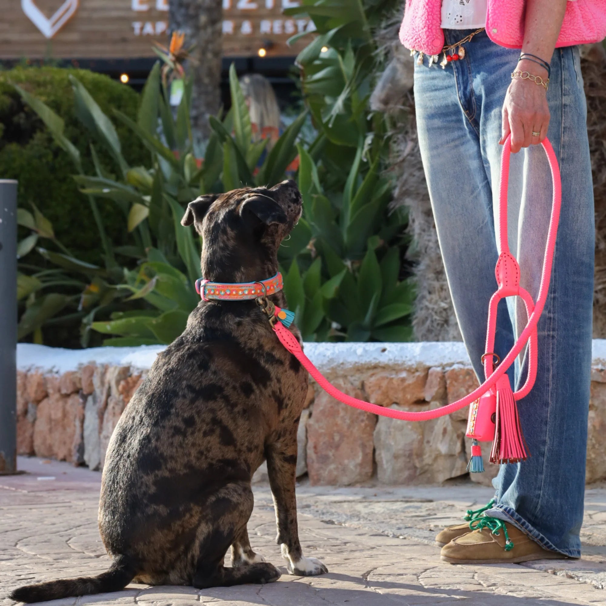 Flamingo Classic Leash