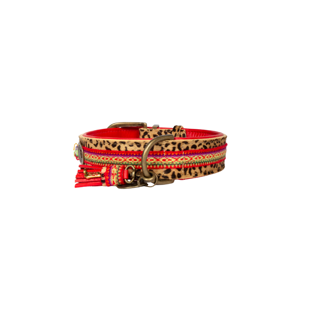 Dog collar with leopard print and red accents on a white background
