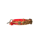 Leopard print dog collar with red accents on a white background