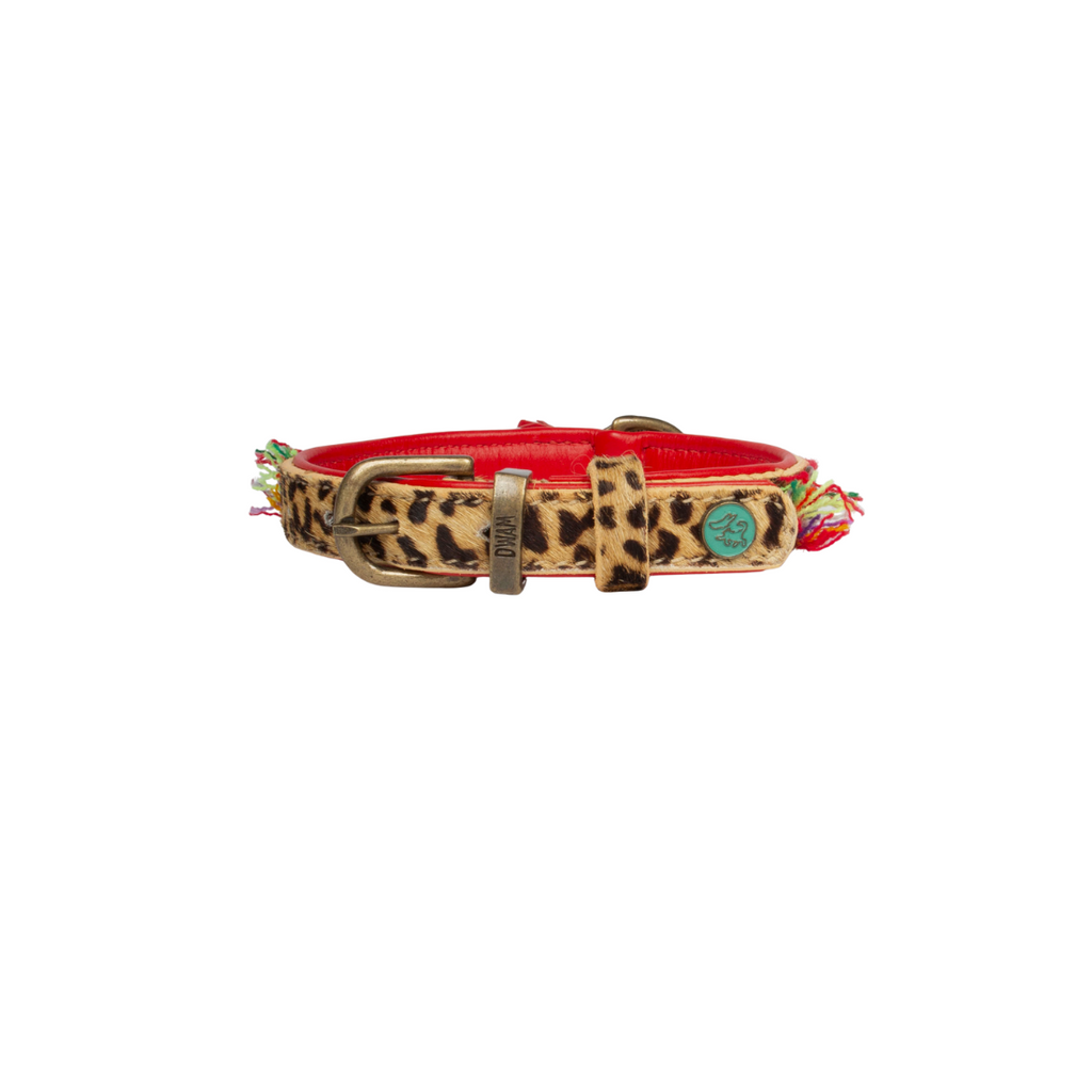 Leopard print dog collar with red band and green heart charm on a white background
