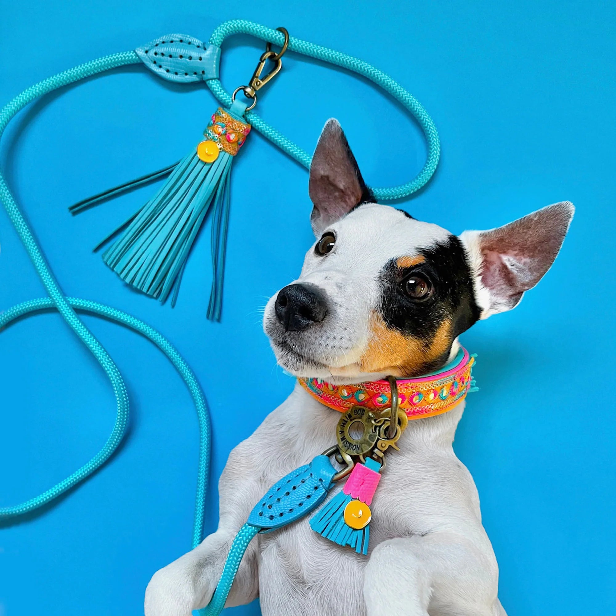 Classic Pacific Dog Leash