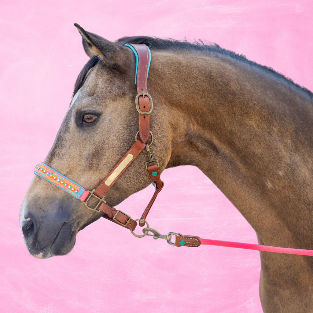 Indian Summer Horse Halter