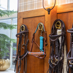 Indian Summer Horse Halter
