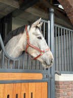 Indian Summer Horse Halter