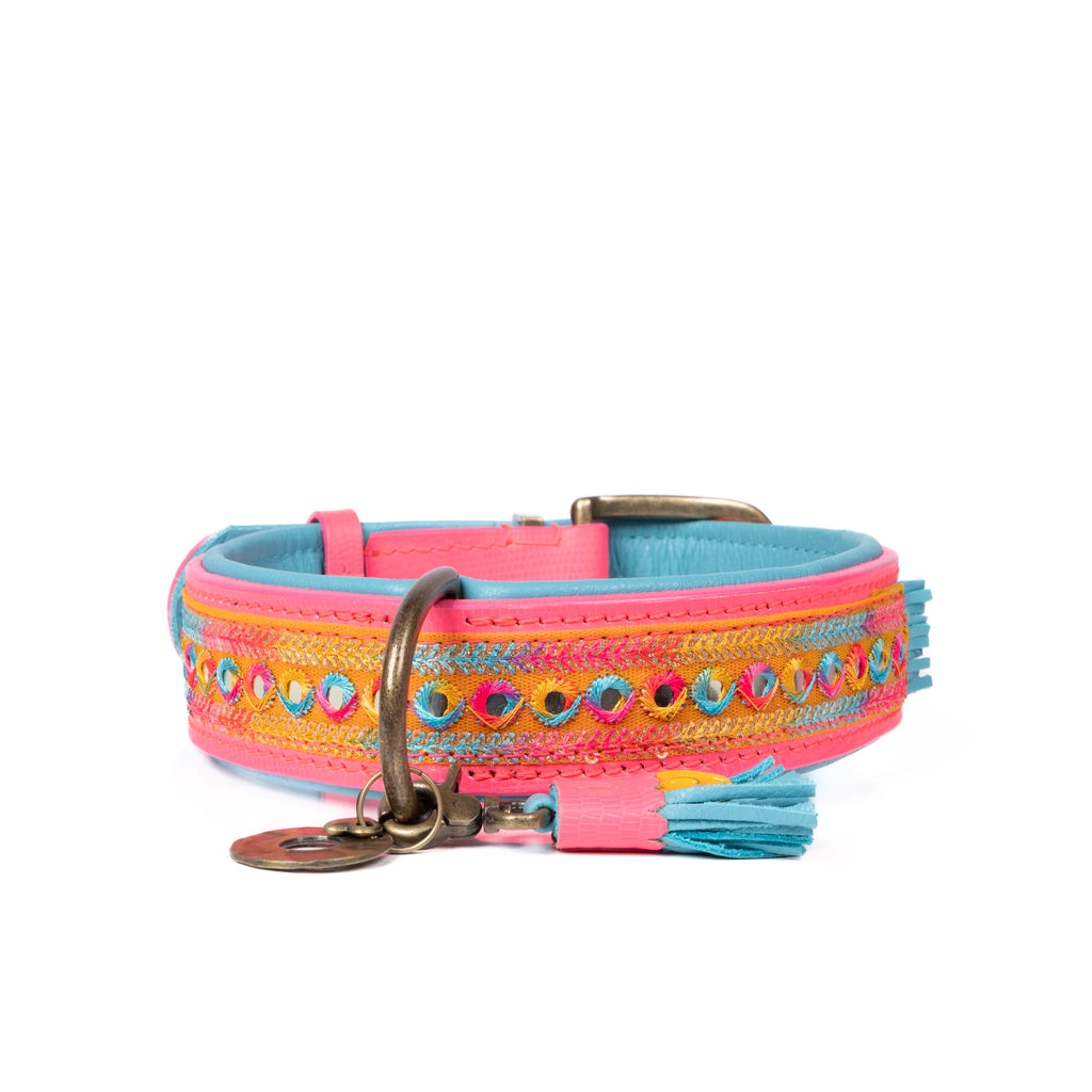Colorful dog collar with decorative elements on a white background