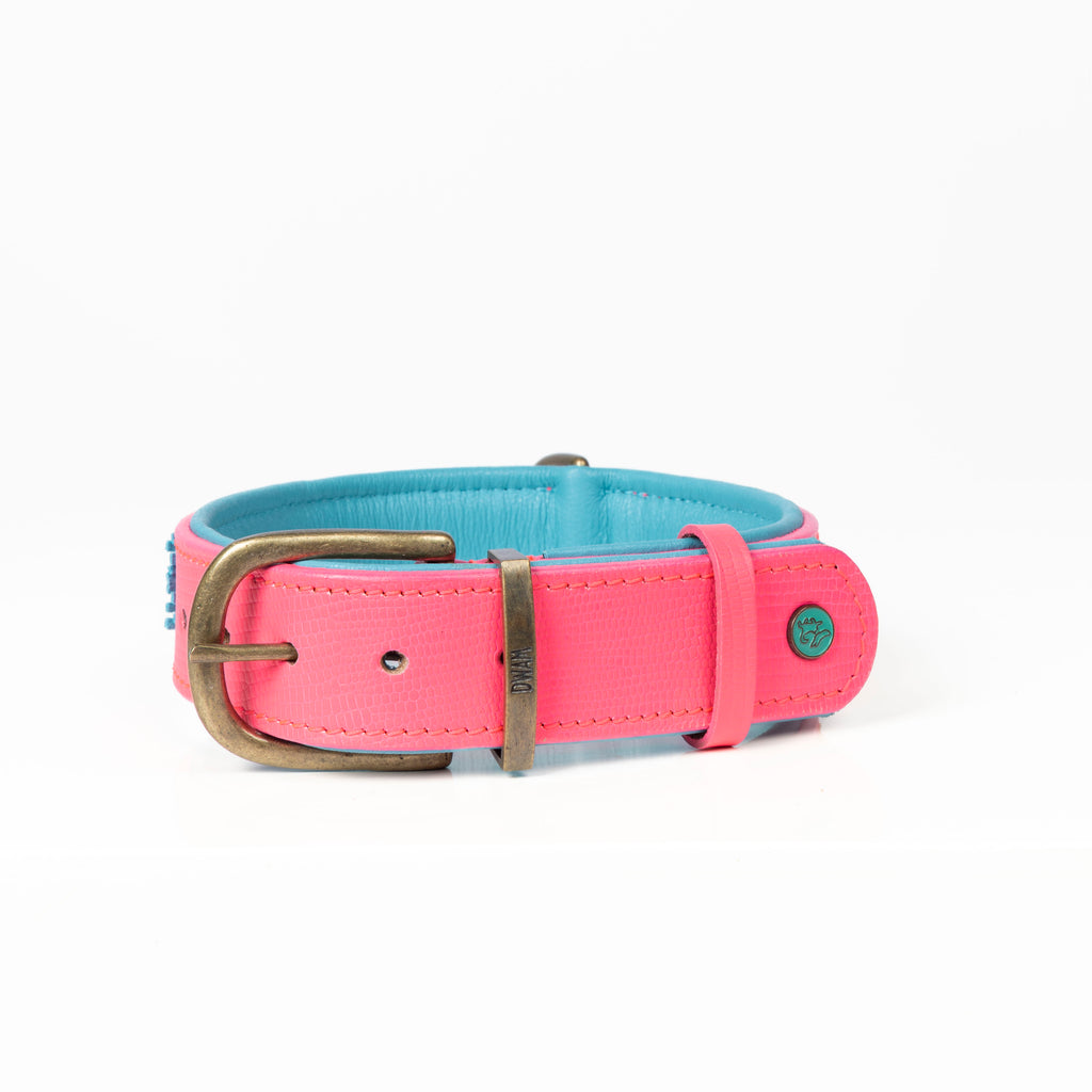 Dog collar with pink and blue design on a white background
