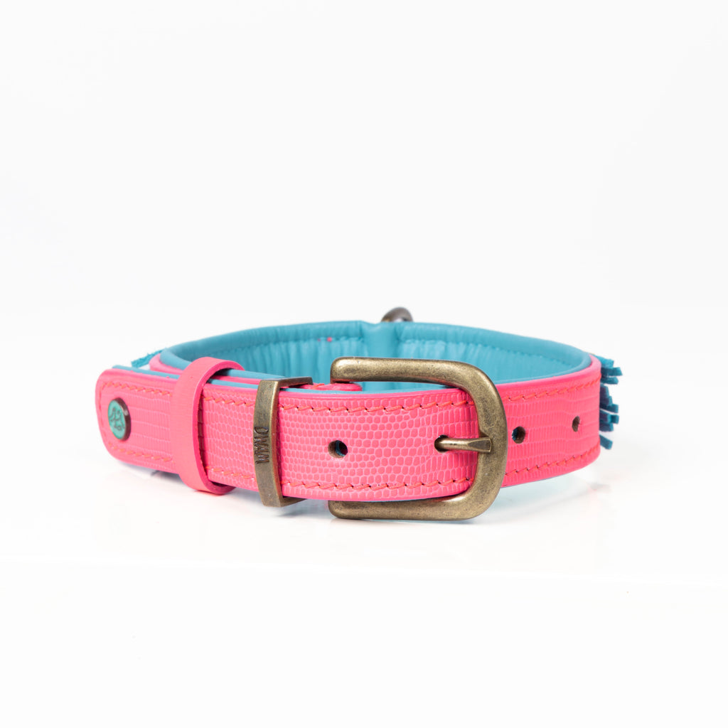 Dog collar with pink and blue design on a white background